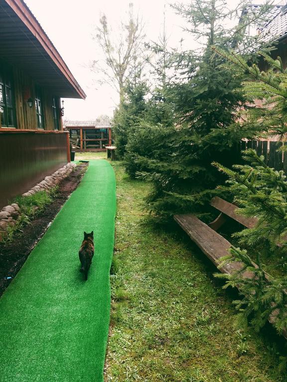 Ostoja Apartment Bialowieza Ngoại thất bức ảnh