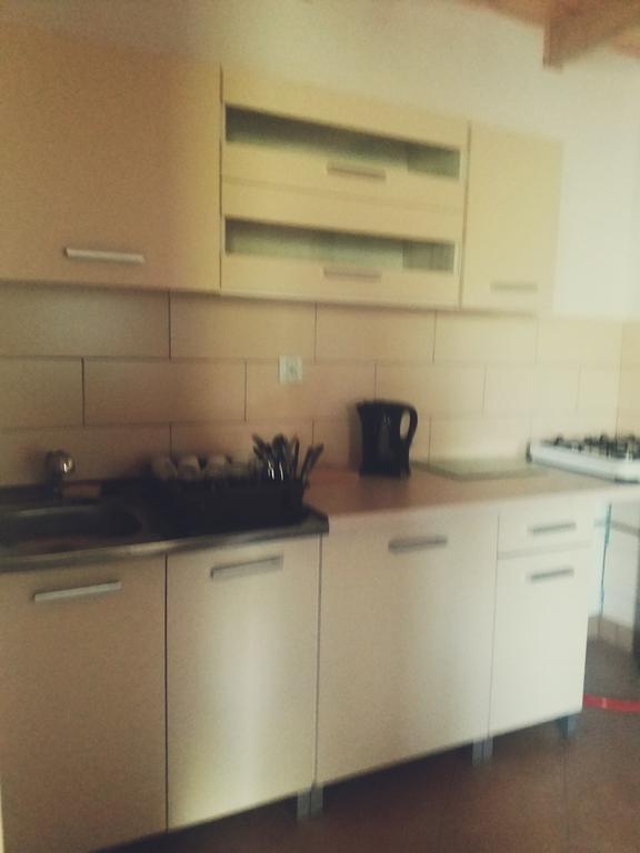 Ostoja Apartment Bialowieza Ngoại thất bức ảnh